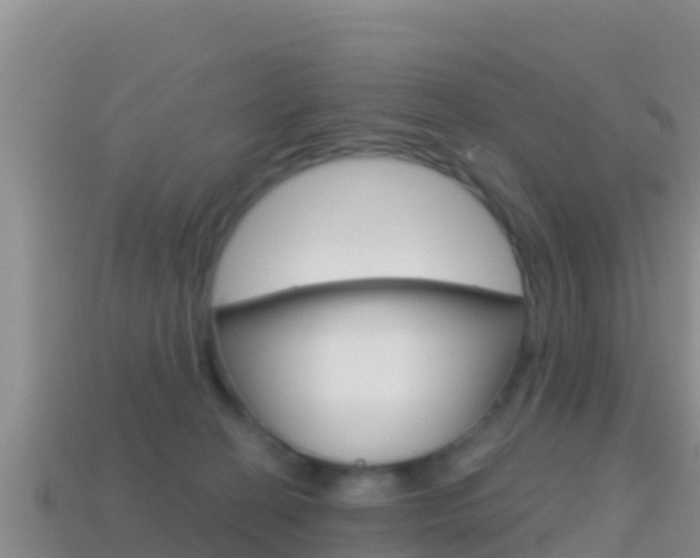 X0000114420274200910161100
