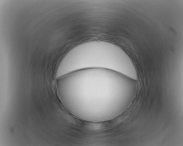 X0000114420276200910161100