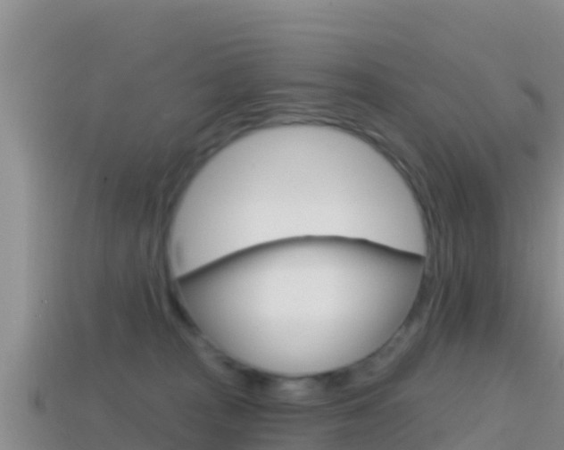 X0000114420277200910161100
