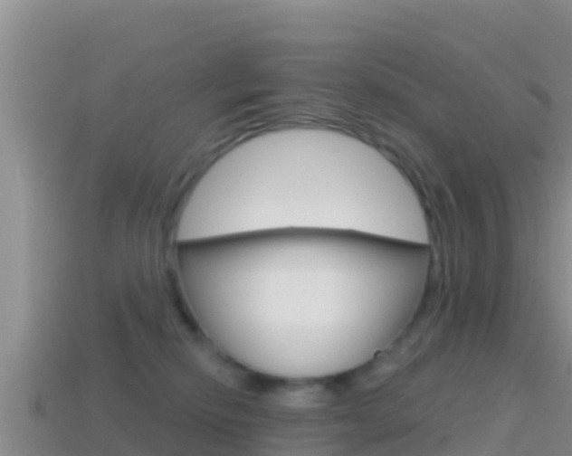 X0000114420278200910161100