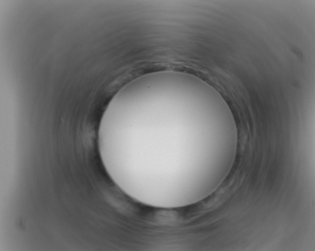 X0000114420279200910161101