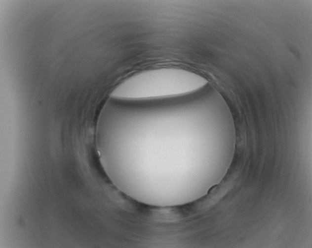 X0000114420281200910161101