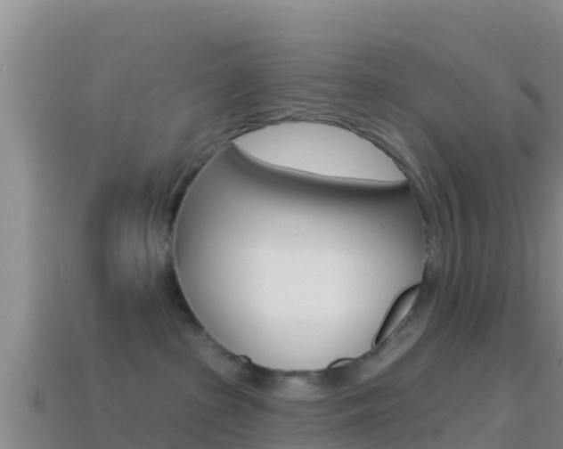 X0000114420285200910161101
