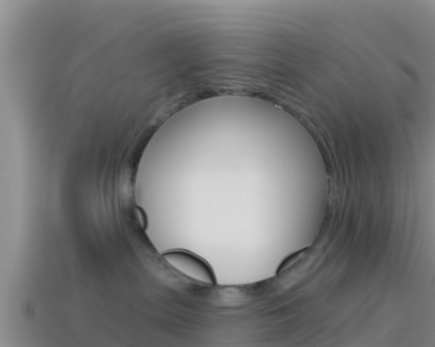 X0000114420287200910161101