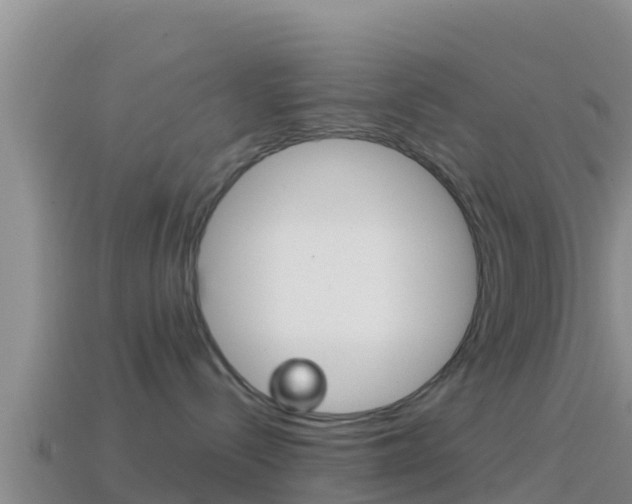 X0000114420288200910161101