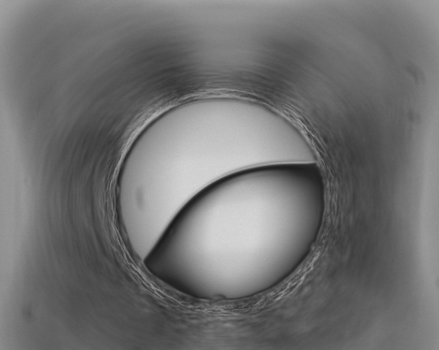 X0000114420289200910161100