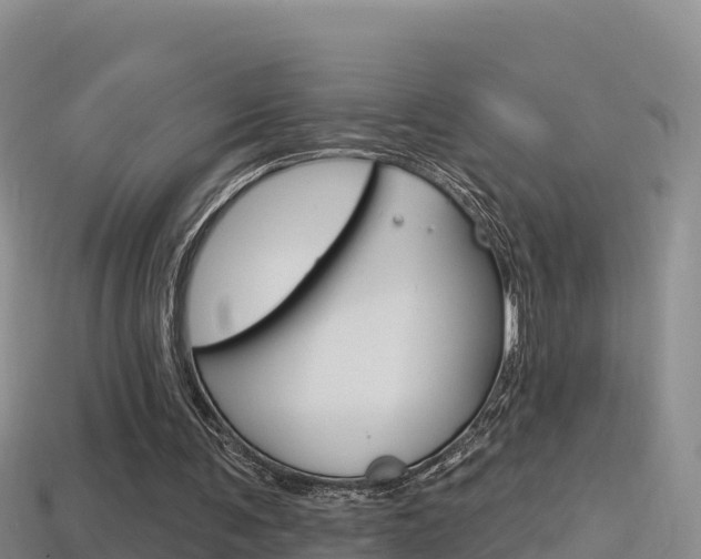 X0000114420291200910161100