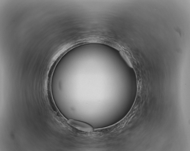 X0000114420292200910161100