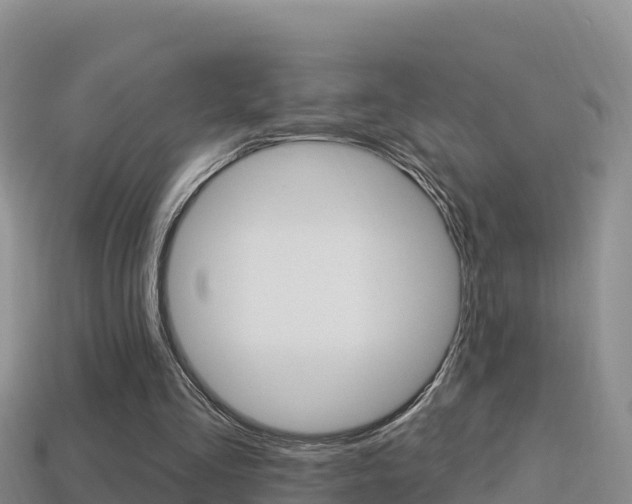 X0000114420293200910161100
