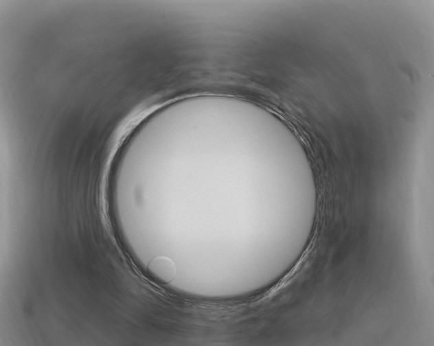 X0000114420294200910161100