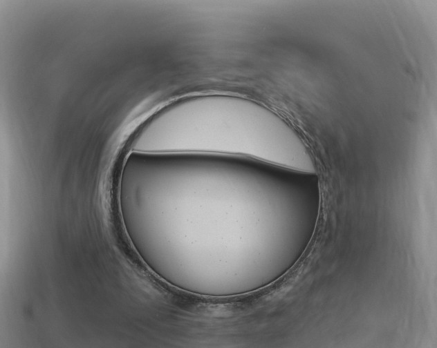 X0000114420295200910161100