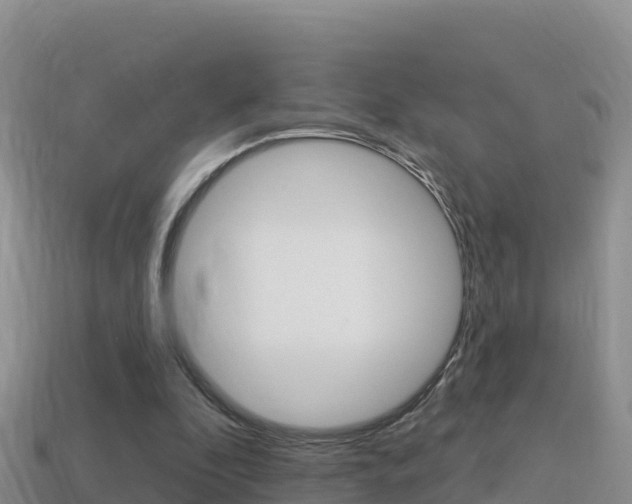 X0000114420296200910161100