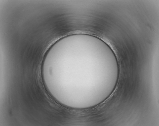 X0000114420297200910161100