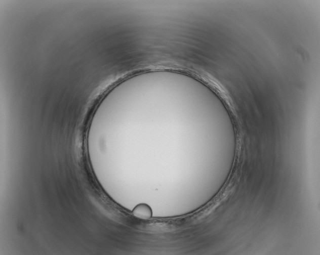 X0000114420298200910161100