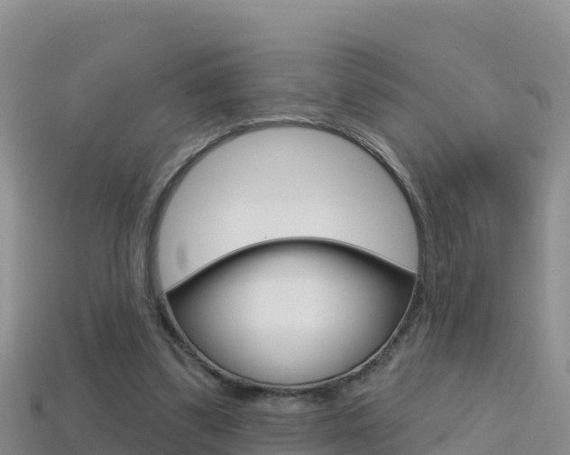 X0000114420299200910161100