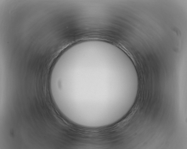 X0000114420301200910161100