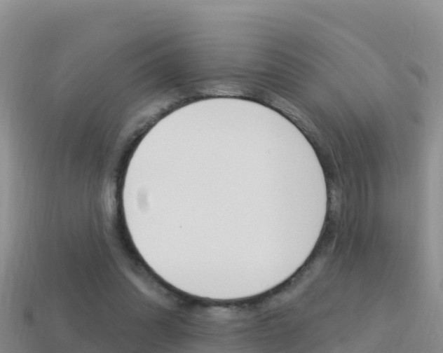 X0000114420302200910161100