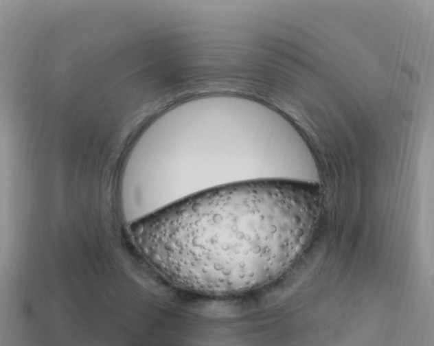 X0000114420303200910161100