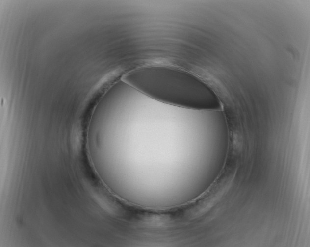 X0000114420304200910161100