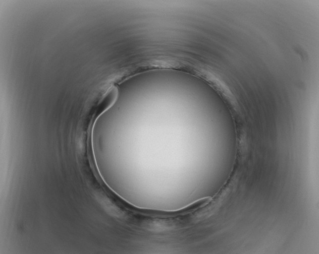 X0000114420305200910161100