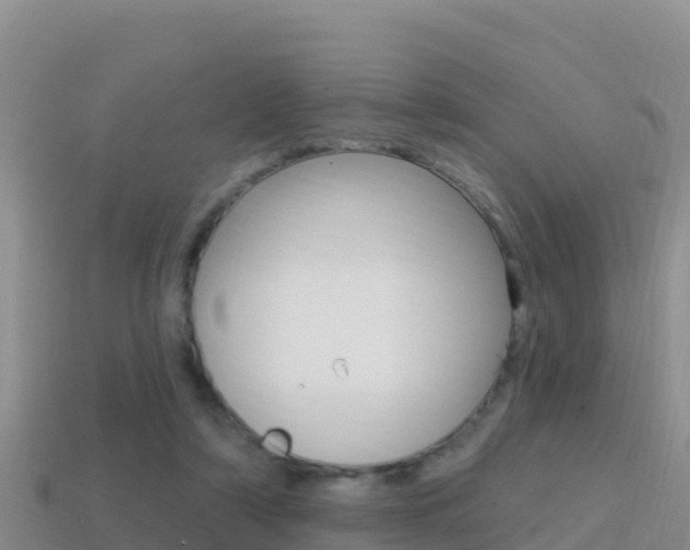 X0000114420306200910161100