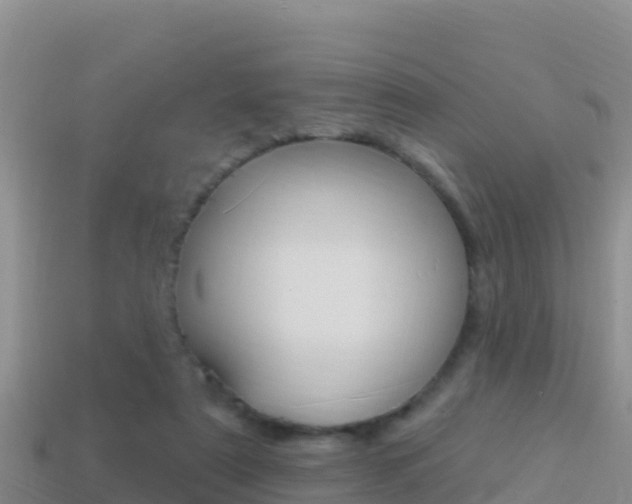 X0000114420307200910161100