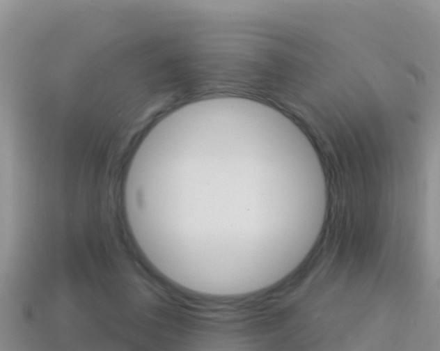 X0000114420308200910161100