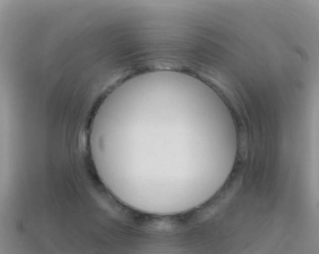 X0000114420310200910161100