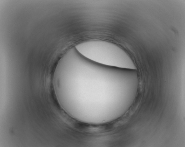 X0000114420314200910161100