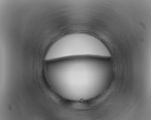 X0000114420315200910161100