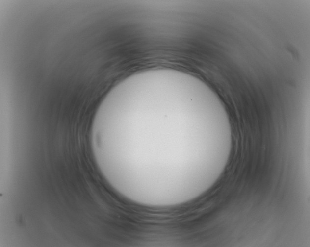 X0000114420316200910161100