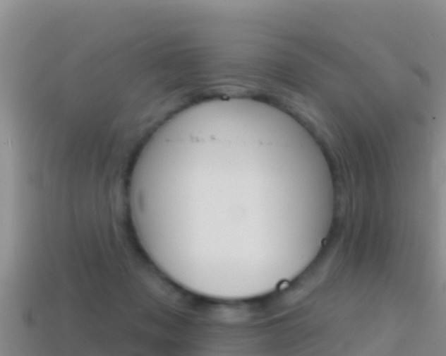 X0000114420317200910161100