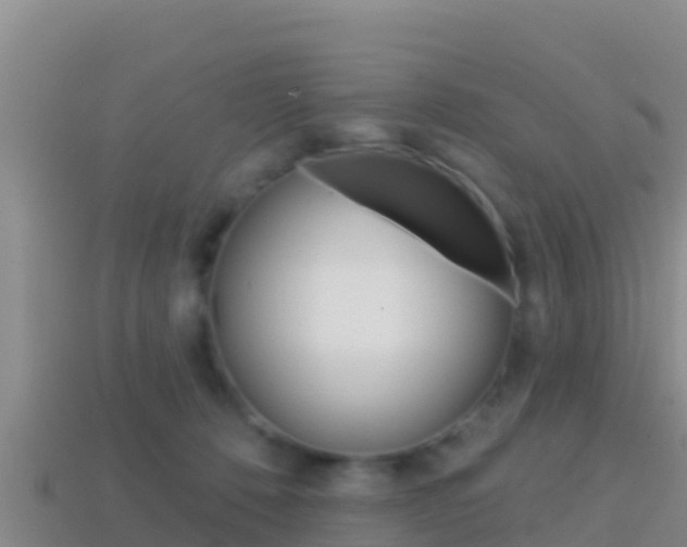 X0000114420320200910161100