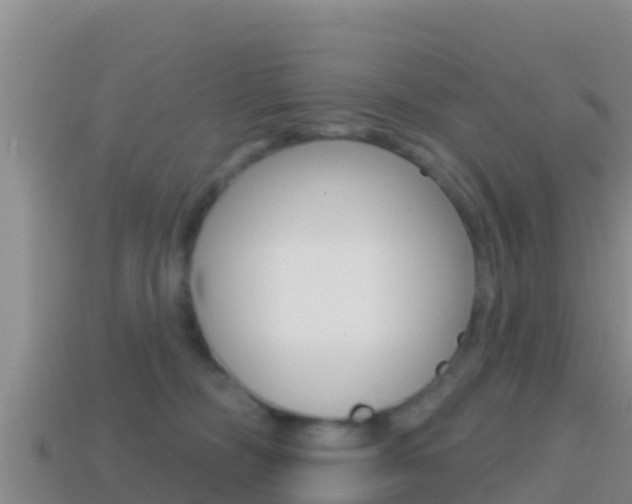 X0000114420326200910161059