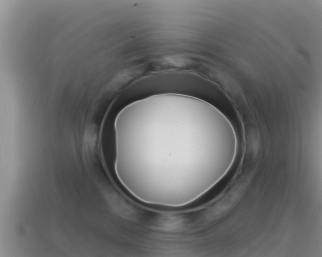 X0000114420328200910161059