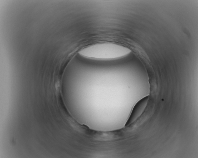X0000114420329200910161059