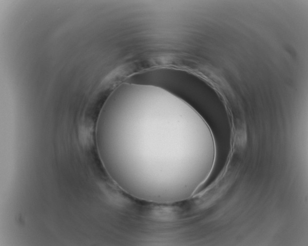 X0000114420332200910161059