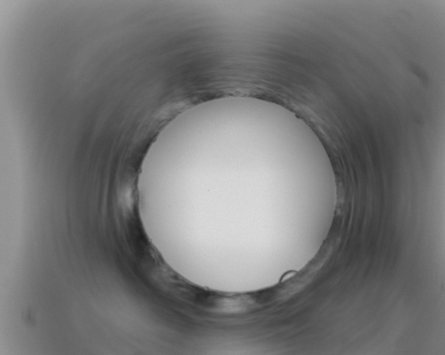 X0000114420334200910161059