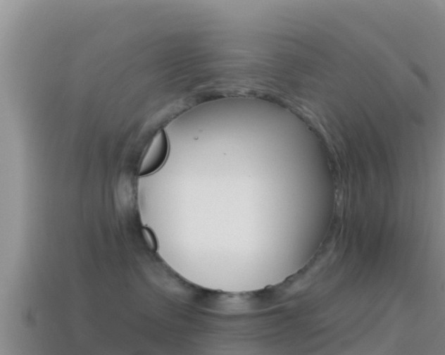 X0000114420335200910161059