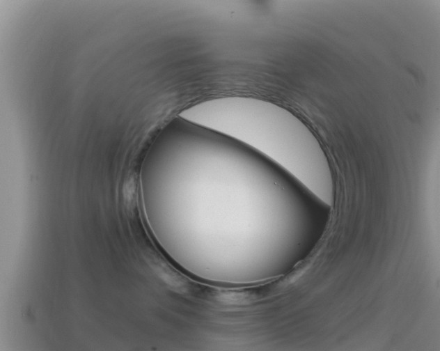 X0000114420336200910161059