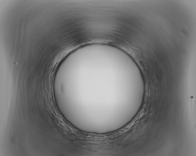 X0000114420337200910161059