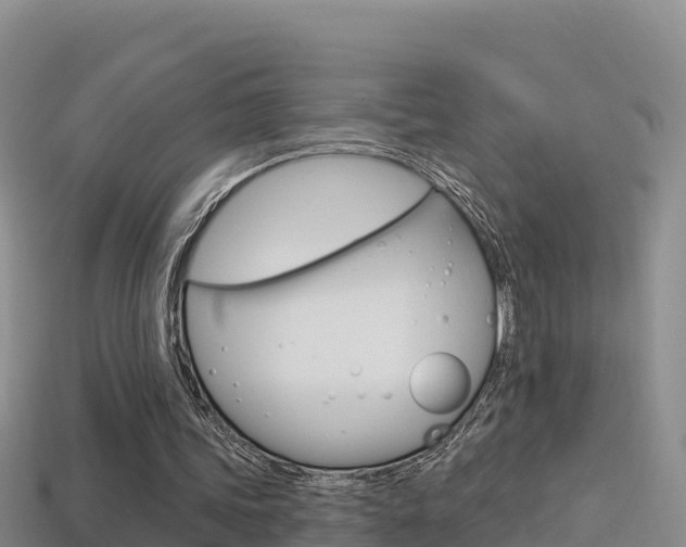 X0000114420339200910161059