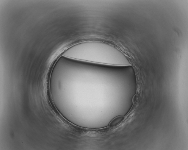 X0000114420341200910161059