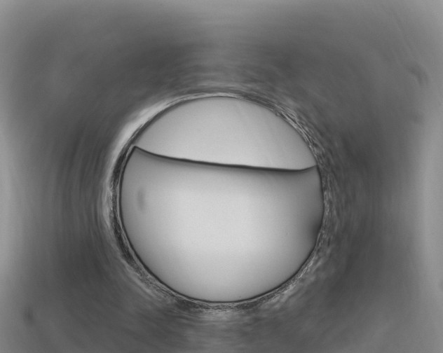 X0000114420342200910161059