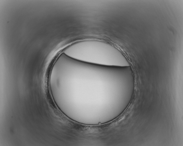 X0000114420343200910161059