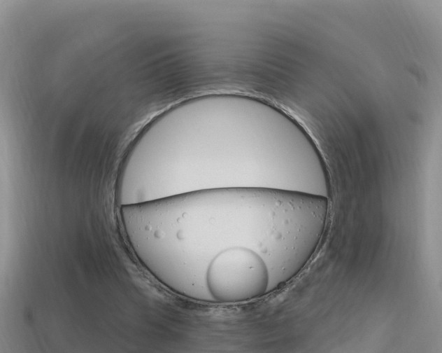 X0000114420345200910161059