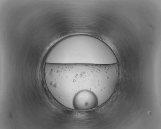 X0000114420346200910161059