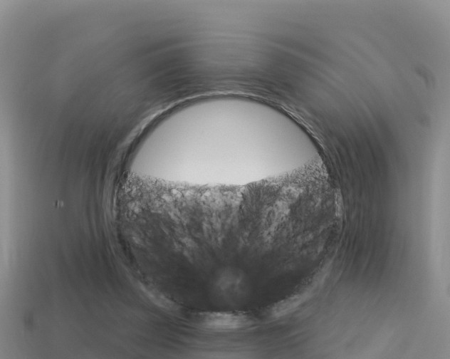 X0000114420347200910161059