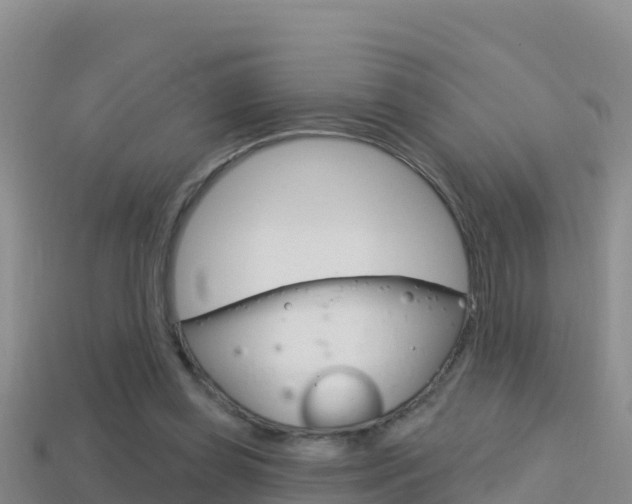 X0000114420349200910161059