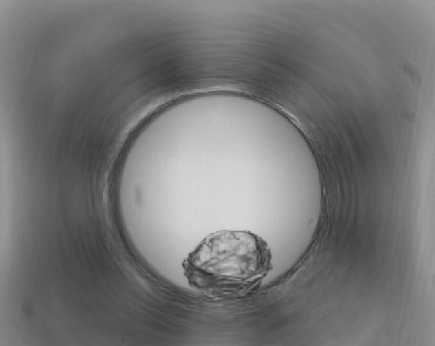 X0000114420350200910161059